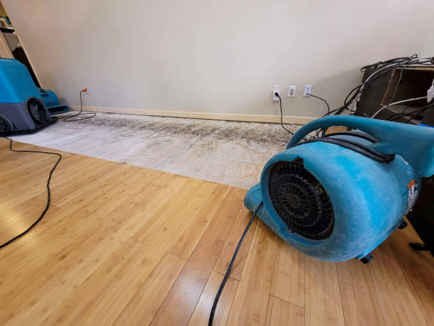 Professional Water Damage Repair technician working in Watkins, CO